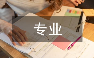 專業(yè)演講技巧;演講技巧小議