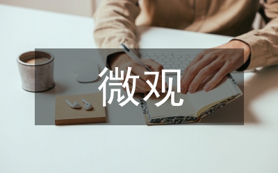 微觀經濟學論文