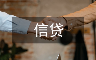 半年信貸工作總結