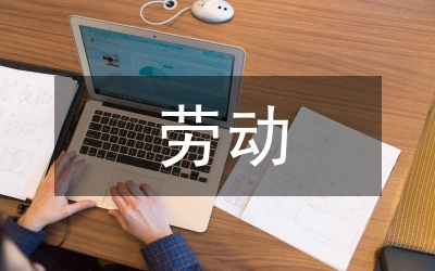 勞動(dòng)實(shí)踐典型事例