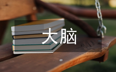 城市交通大腦應(yīng)用現(xiàn)狀與業(yè)務(wù)體系分析