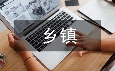 鄉(xiāng)鎮(zhèn)財(cái)政管理現(xiàn)狀及改進(jìn)策略