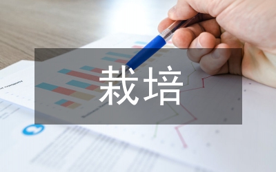 黃瓜栽培管理技術(shù)