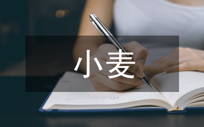 小麥栽培技術(shù)及病蟲害治理探討