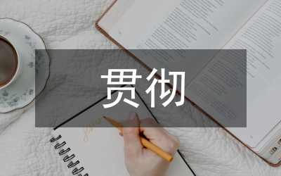 審計(jì)局安全生產(chǎn)工作貫徹落實(shí)情況總結(jié)