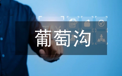 葡萄酒文化論文