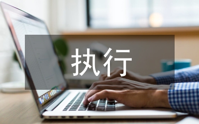 執(zhí)行局工作總結