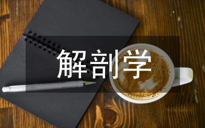 解剖學(xué)重點(diǎn)