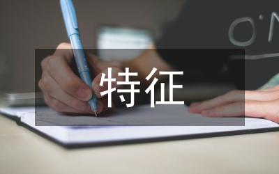 高等職業(yè)教育特征