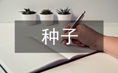 用“種子課”理念上好小學(xué)數(shù)學(xué)課探討