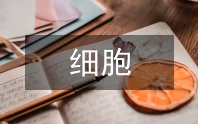 細(xì)胞治療領(lǐng)域?qū)＠暾?qǐng)研究