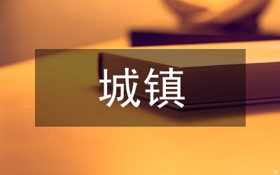 城鎮(zhèn)婦聯(lián)領(lǐng)導(dǎo)小組會議講話